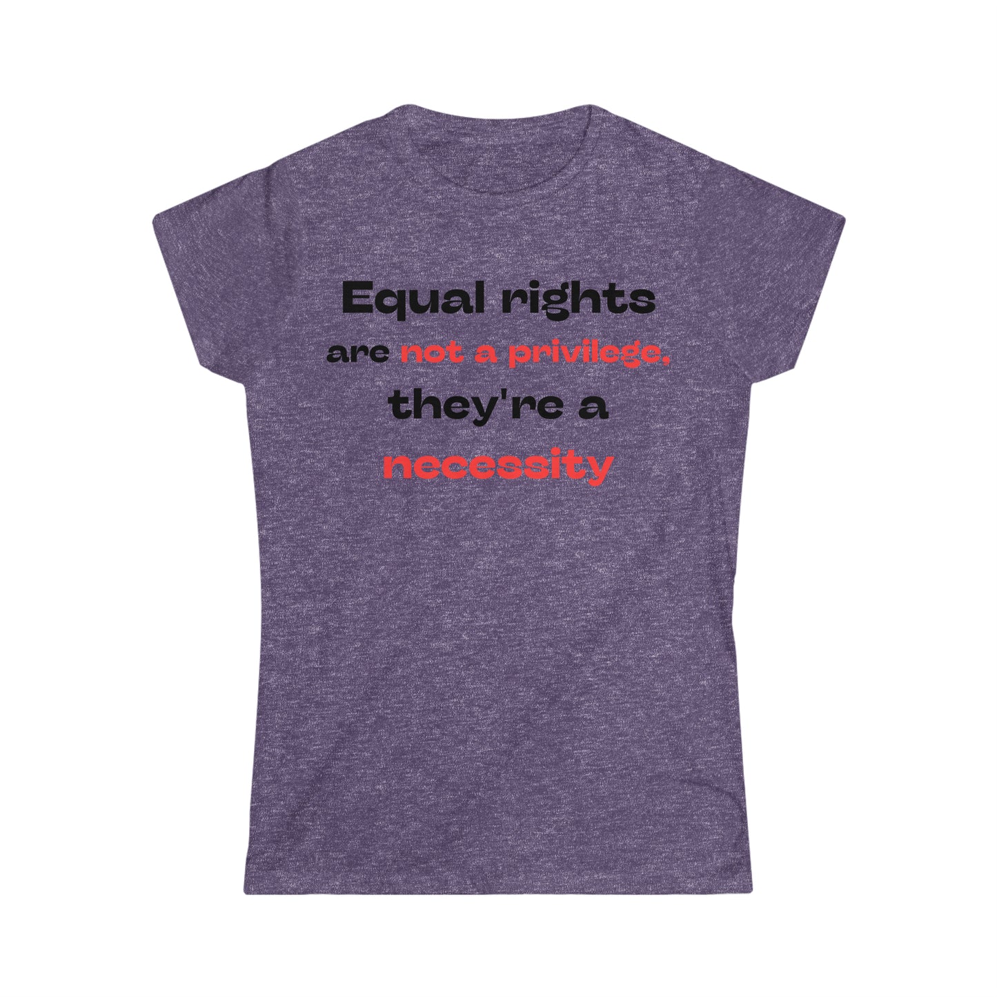 Equal Rights is Not a Privilege